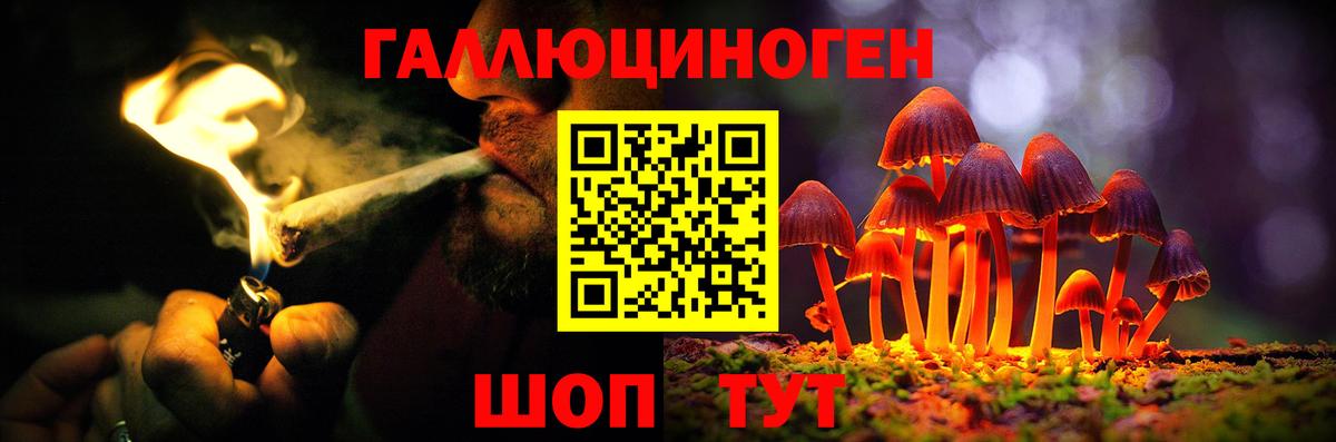 Псилоцибиновые грибы Psilocybine cubensis  закладки  Солнечногорск  Вход с VPN 